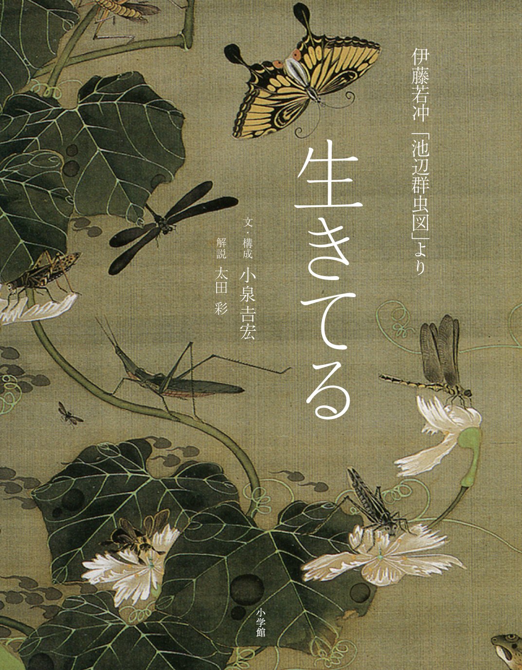 伊藤若冲「池辺群虫図」より 生きてる | 太田 彩, 小泉 吉宏 |本