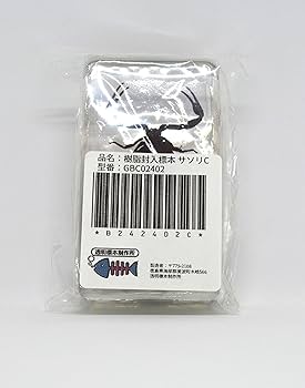 セール中!❗　サソリ剥製標本　蠍 81u2cdUKbTL._UF894,1000_QL80_.jpg