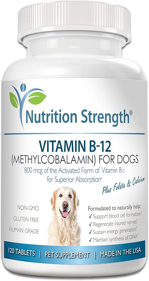B12 dosage for dogs Clearance