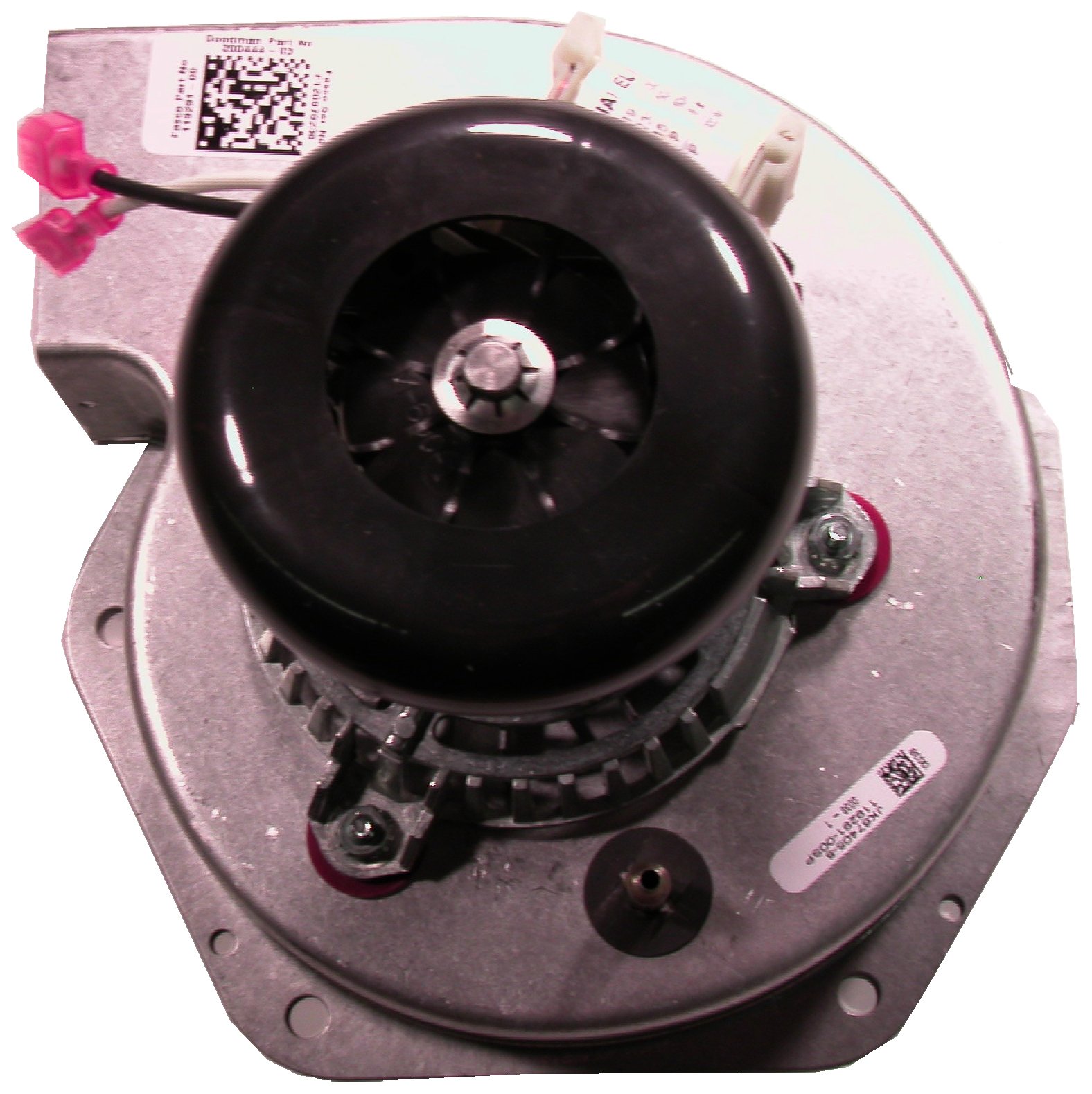 Amazon.com: Goodman 20044403 Induction Motor : Automotive 