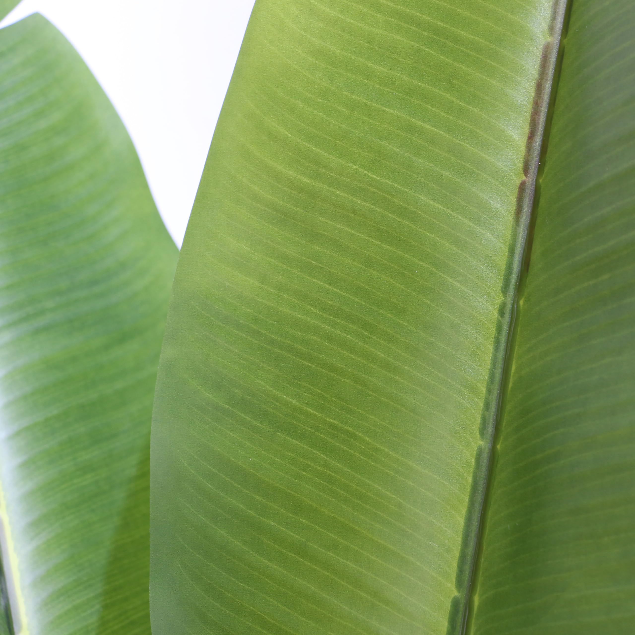 hjh OFFICE Planta Artificial Banane Planta Artificial Decorativa 170 cm, Easy-Care platanero, árbol Artificial Verde 871051