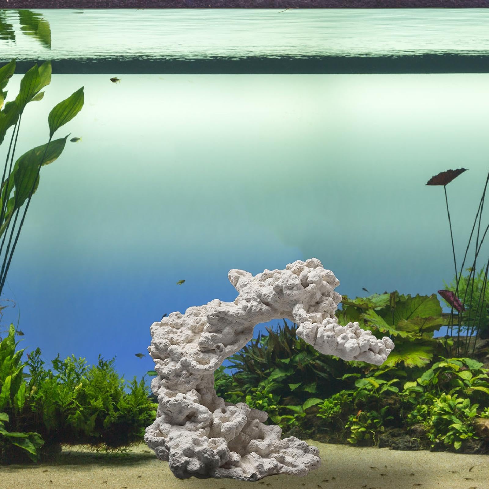 Anémone Ornement Céramique Aquarium Sculpture Abri Poisson Figurine Polyvalente pour Décor Paysager Convient à L'Élevage Décoration Intérieure, Style B