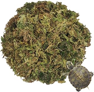 Hamiledyi Natural Sphagnum Moss Bedding Reptile Moss for Frogs Toads Salamanders Turtles Anoles or Green Snakes and Other Reptiles and Amphibians (10.58 OZ)