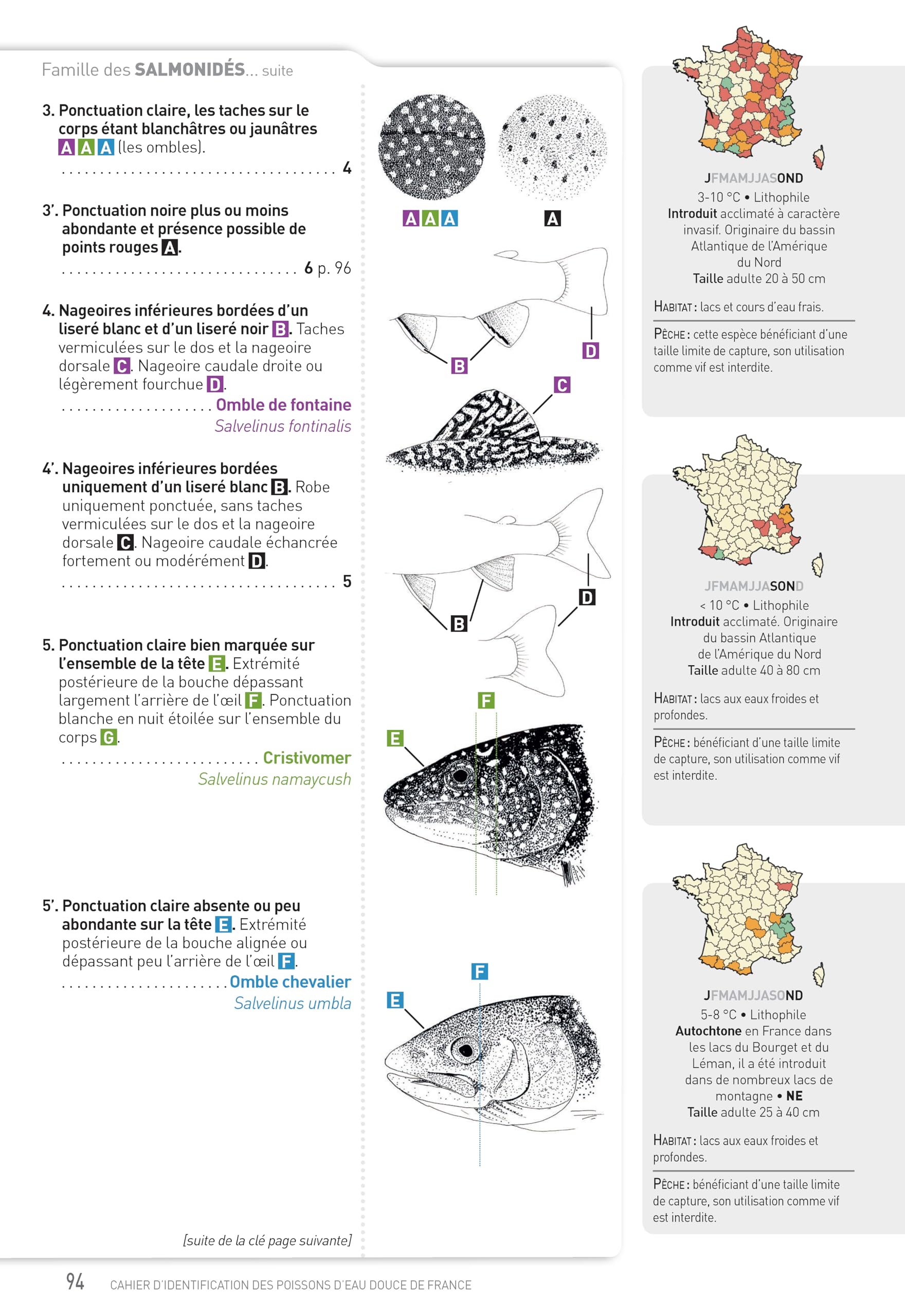 Cahier d'identification des poissons d'eau douce