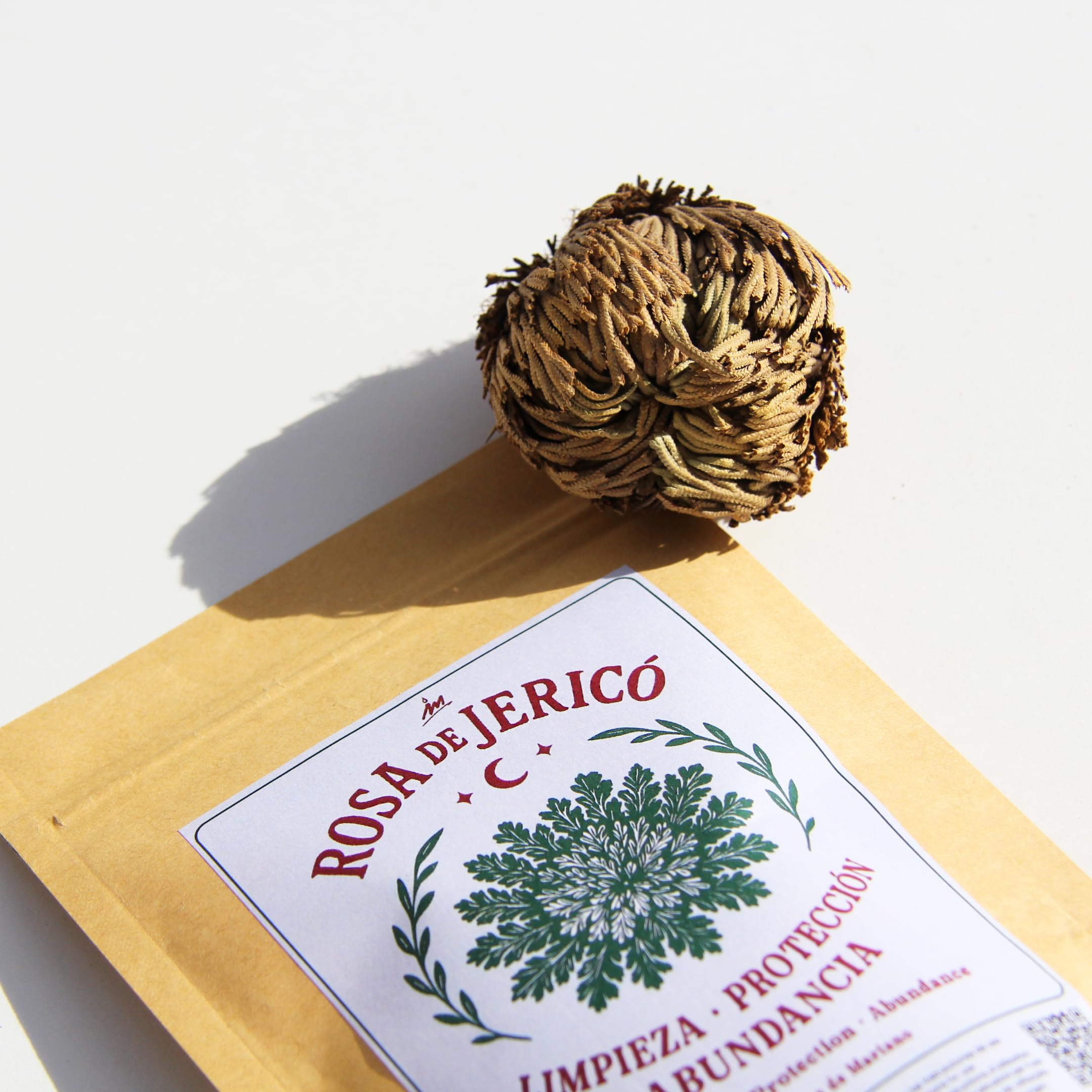 Rosa de Jericó, Planta Natural de Resurrección, para Prosperidad y Protección, con Instrucciones y Oración (2 Rosas) — view 4