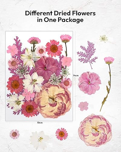 Vista 40 de Resiners - Flores secas, 100 piezas de flores prensadas para manualidades, color amarillo, flores secas naturales, kit de hojas secas