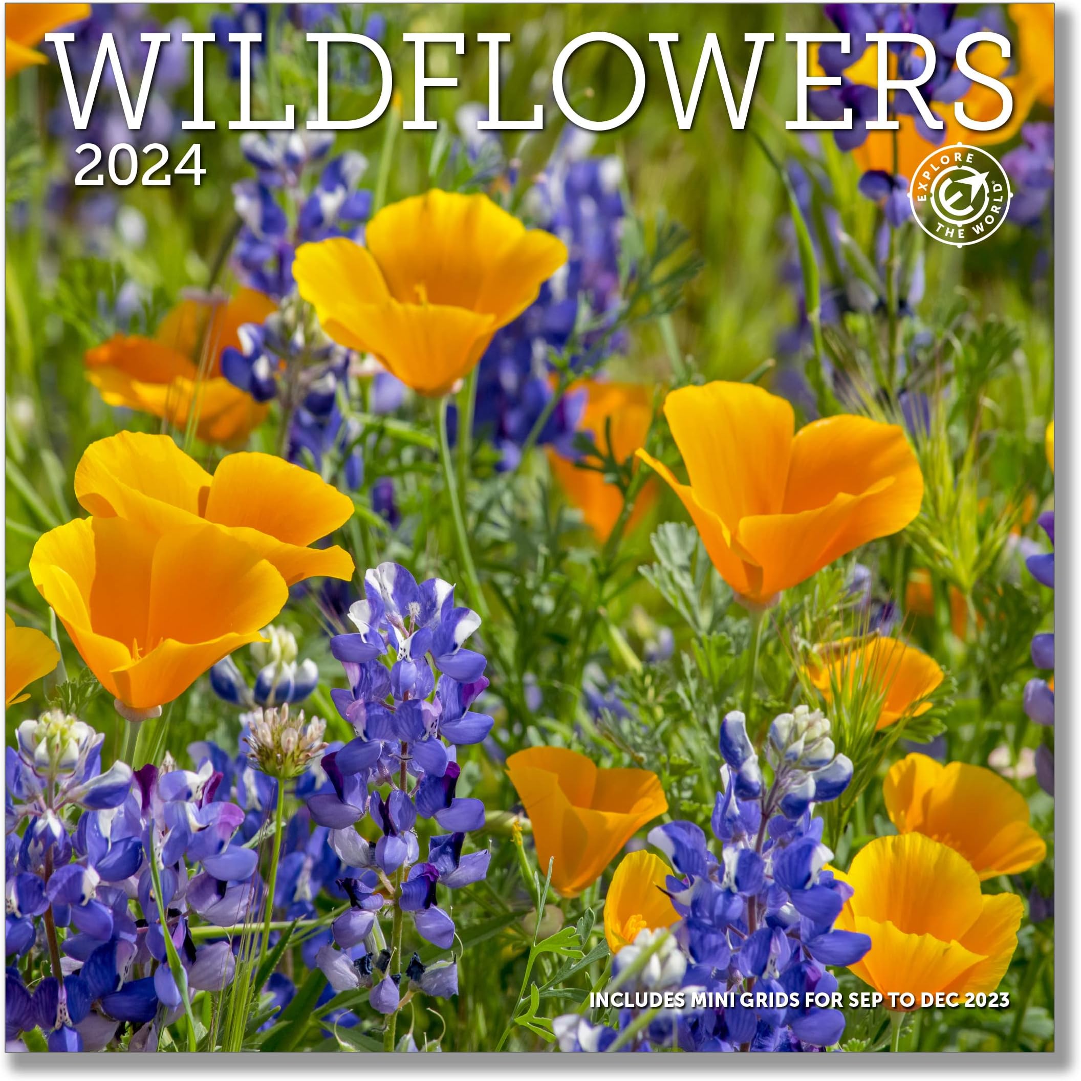 Wildflowers Wall Calendar 2024, Monthly January-December 12'' x 12"
