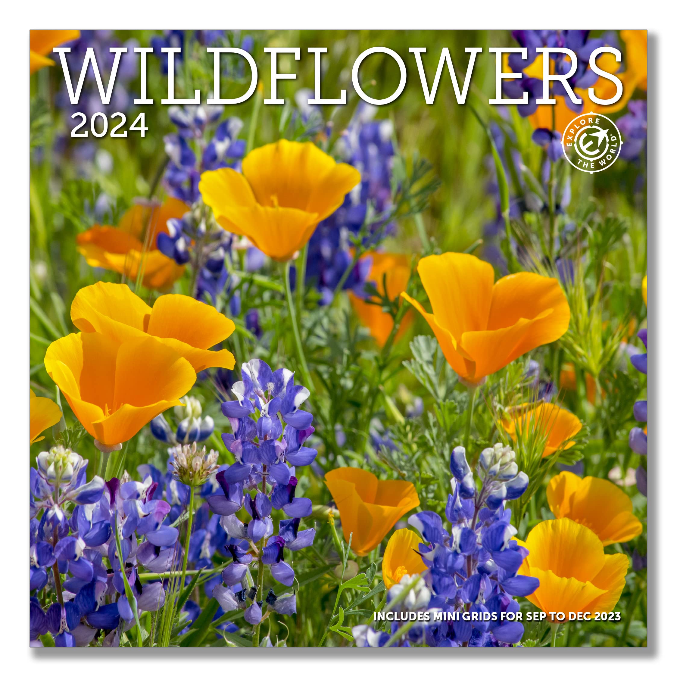 Wildflowers Wall Calendar 2024, Monthly January-December 12'' x 12"