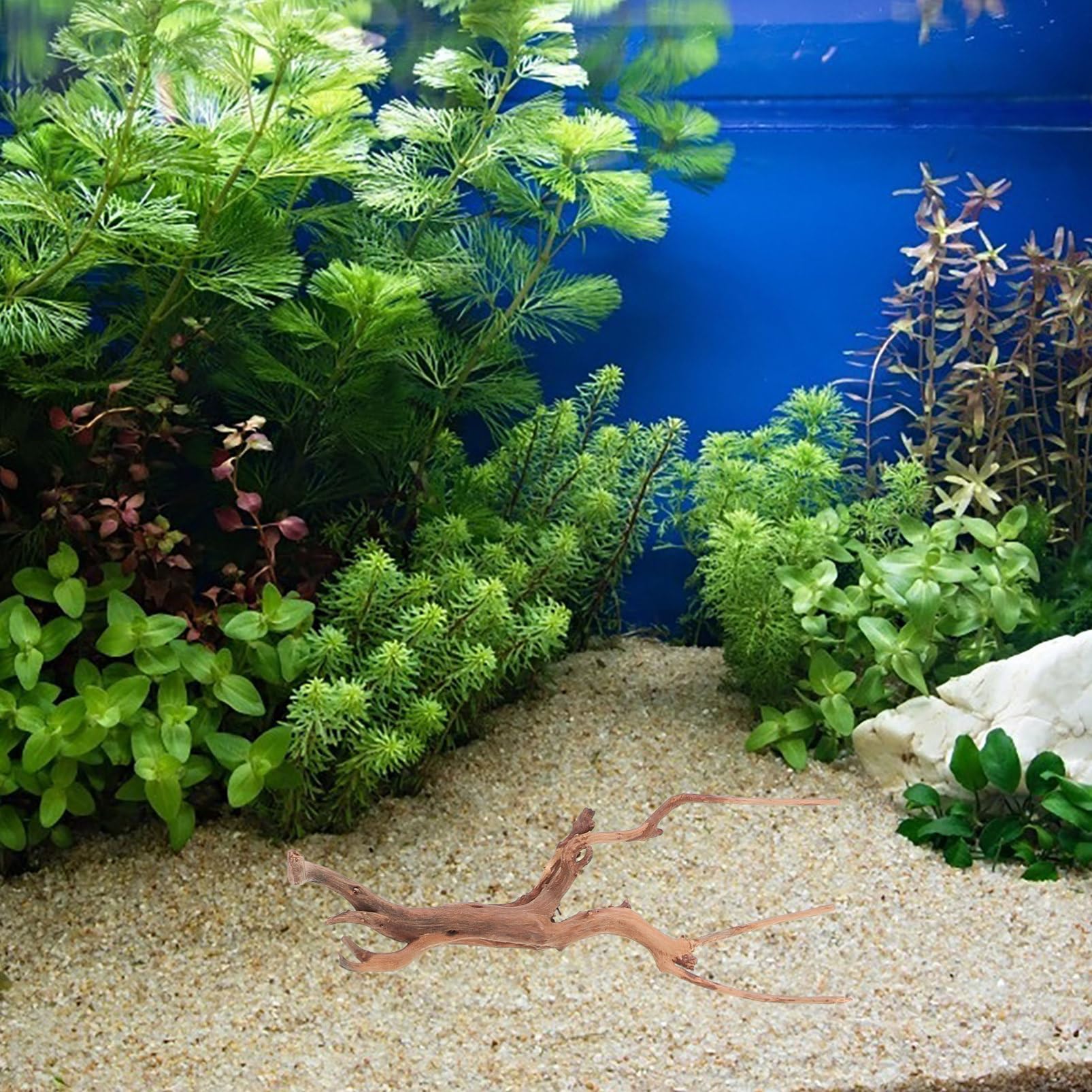 Happyyami 3piezas Decoración Natural De Flotante para y Terrarios Driftwood para Peceras y Paisajismo Acuático Diseño y Seguro para y Reptiles