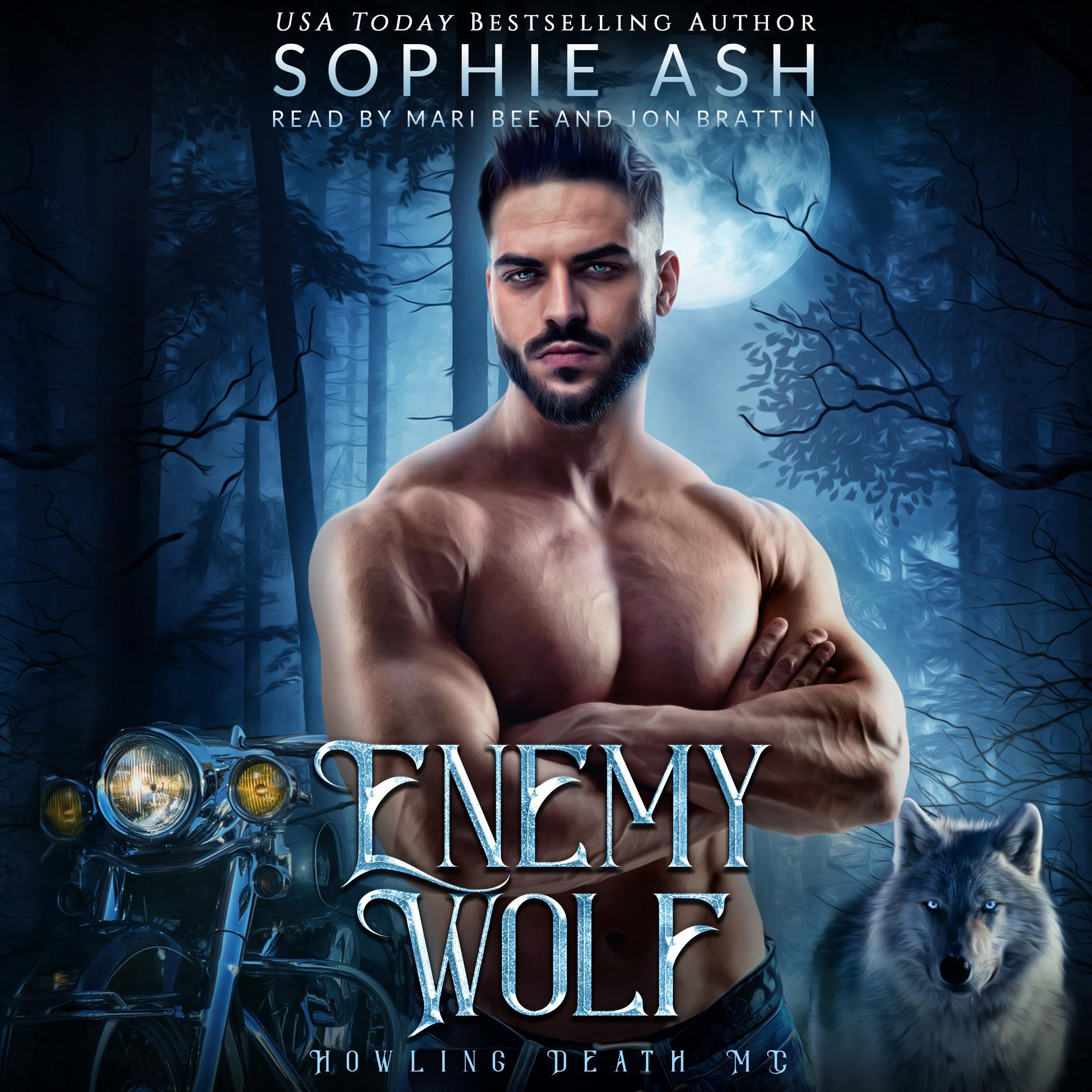 Cover art for Enemy Wolf