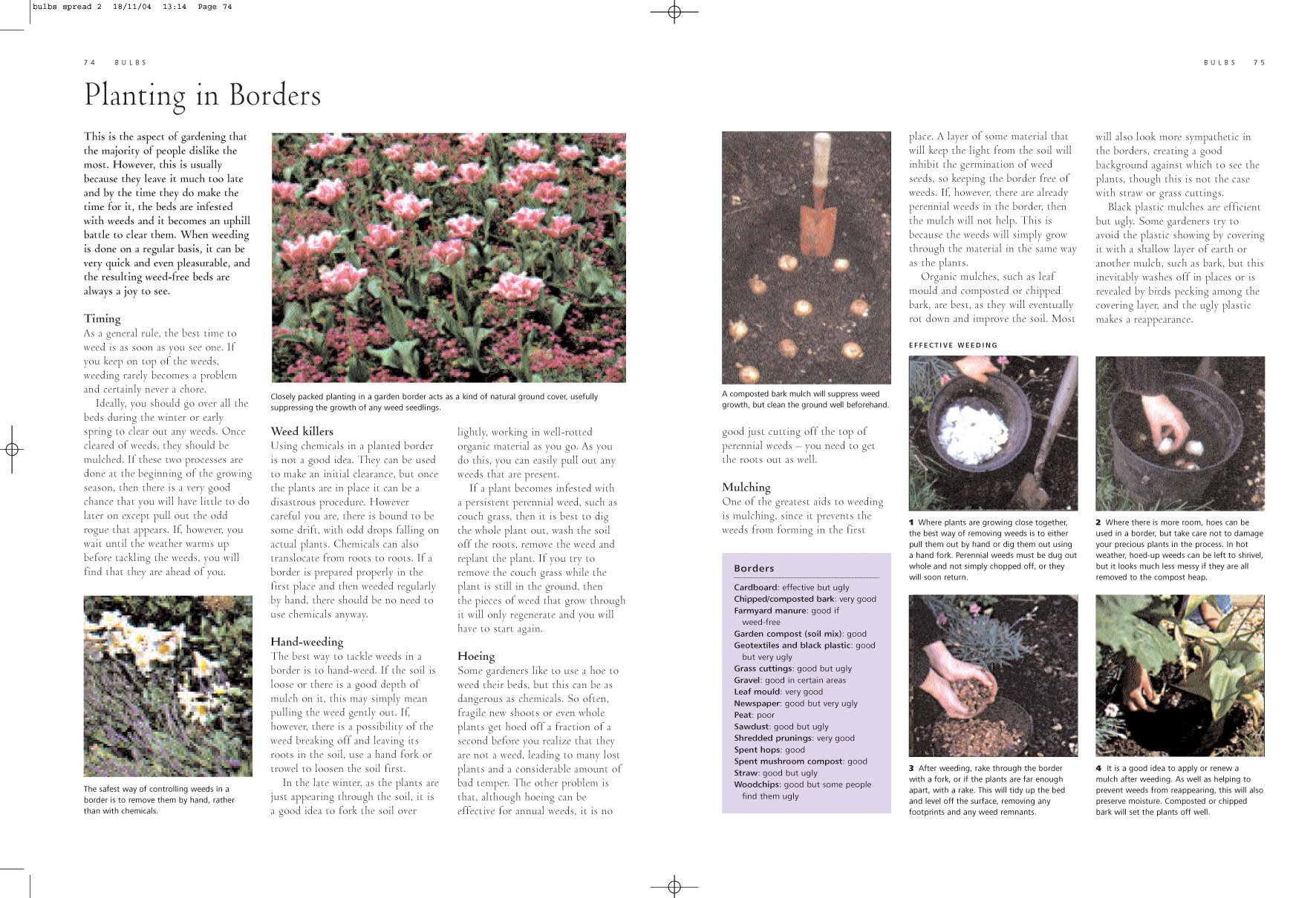 The Gardener's Guide to Bulbs: How to Create a Spectacular Garden Through the Year with Bulbs, Corns, Tubers and Rhizomes; An Illustrated Directory o