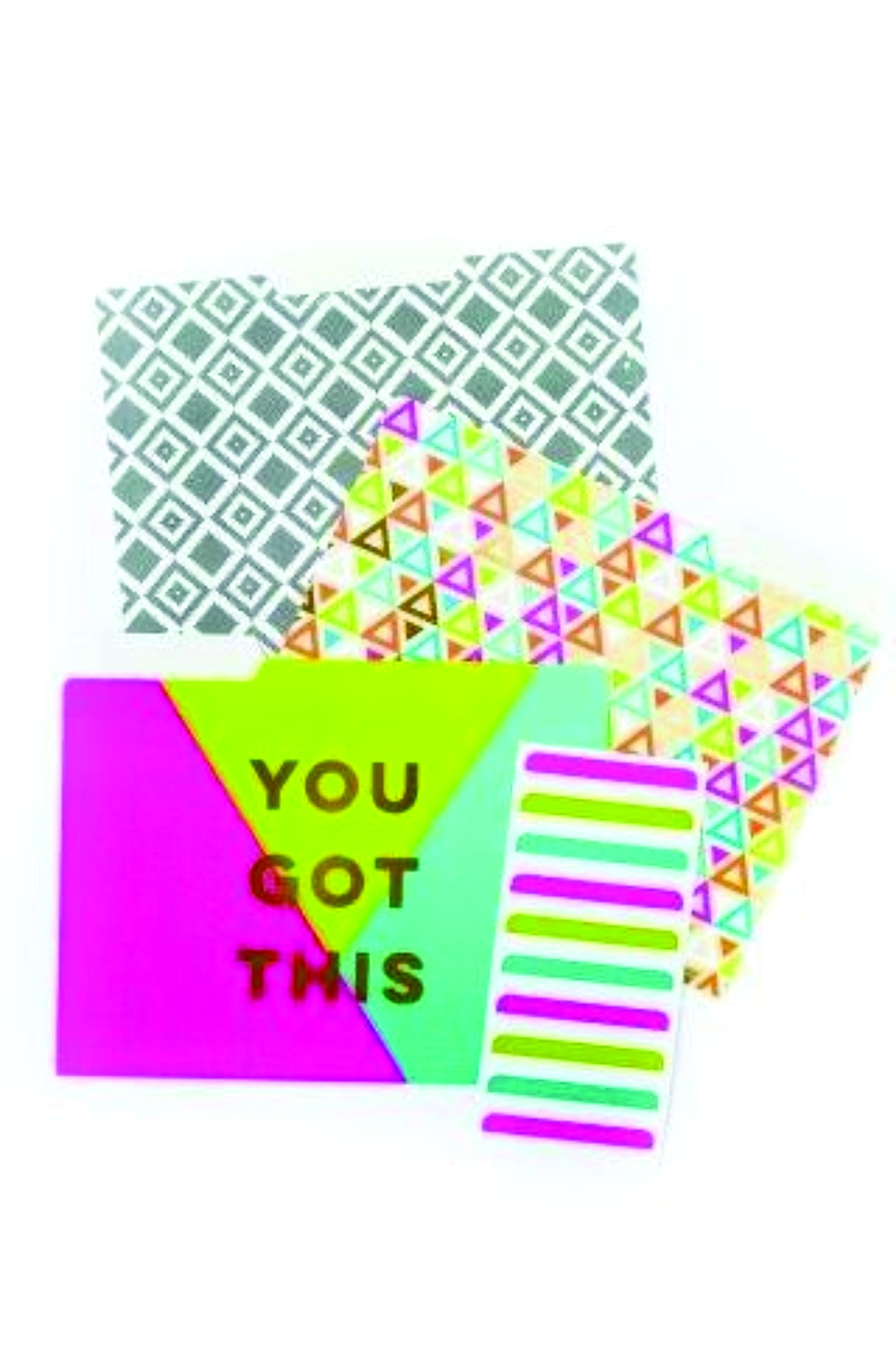 Upscale File Folder 10 piece (9 Folders and 1 Sheet of Matching Stickers) (Mod #PLMD44)