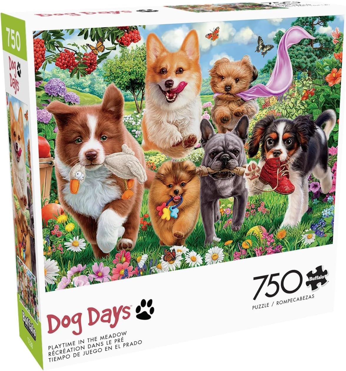 Buffalo Games - Image World - Playtime in The Meadow - 750 Piece Jigsaw Puzzle for Adults -Challenging Puzzle Perfect for Game Nights - Finished Size is 24.00 x 18.00
