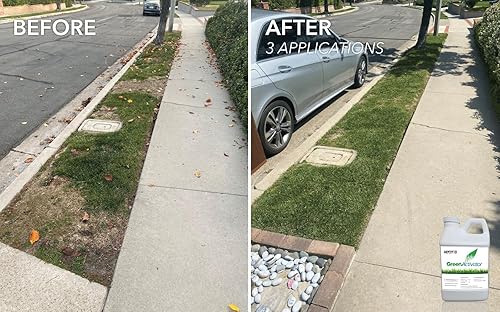 Miniatura 8 de 's GreenActivator | Fertilizante líquido para césped y césped de 32 onzas con ácido húmico y fúlvico | Aumenta la salud del césped y la ingesta de