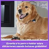 Ver la foto 2