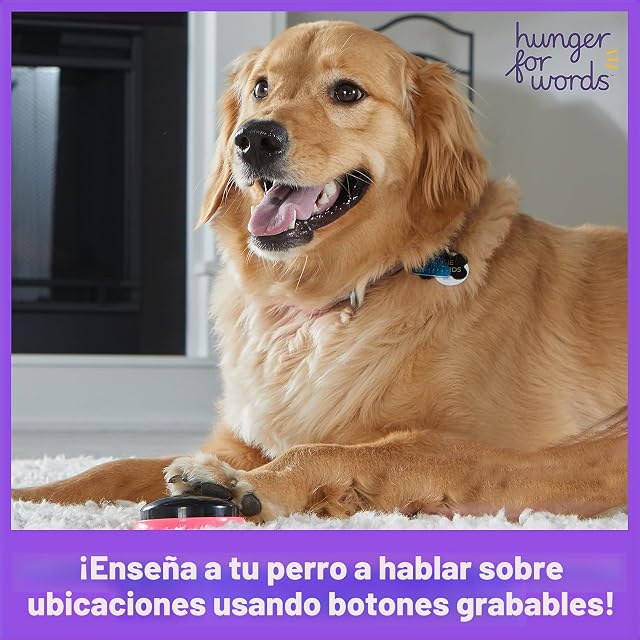 Foto 2 de 8 de Hunger for Words Set de Palabras Que designan Lugares para Mascotas Que Hablan