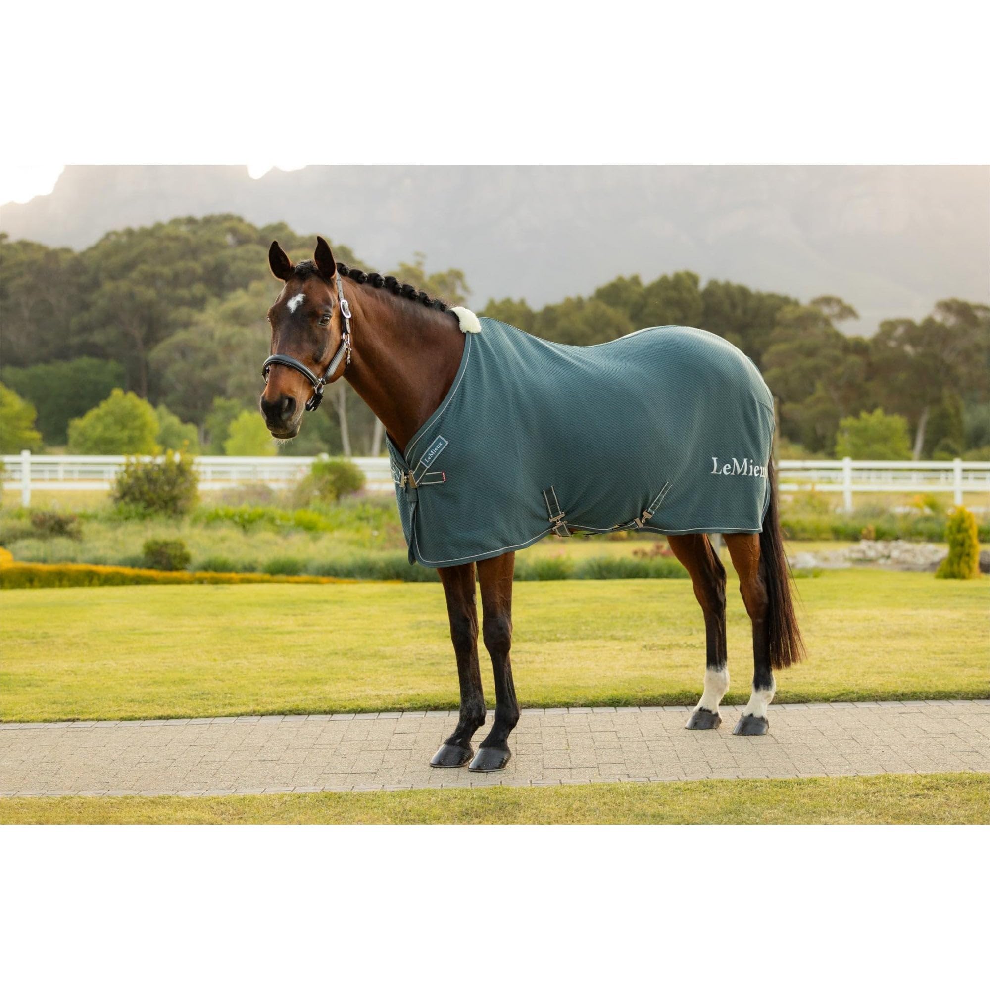 LeMieux Kudos Bamboo Cooler Rug - Jungle