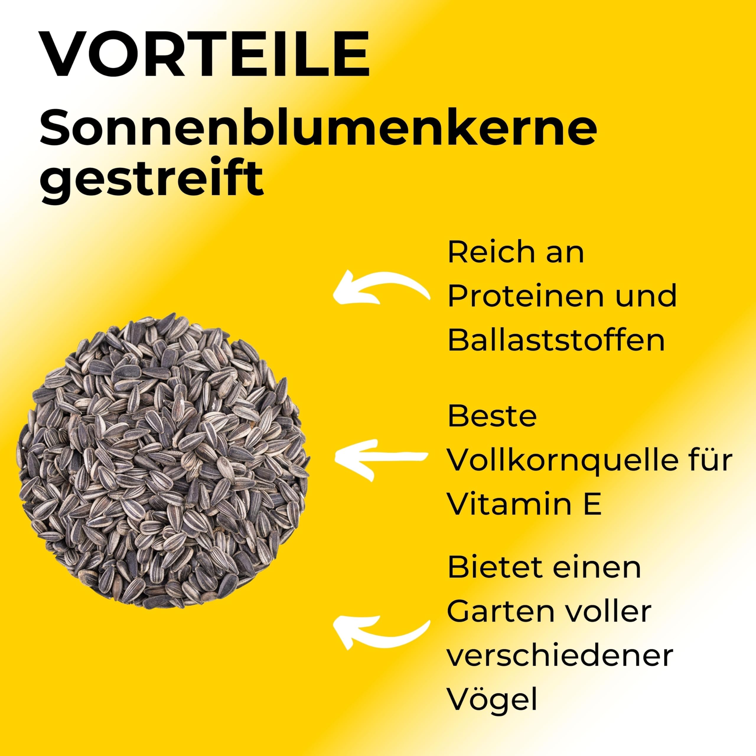 Boill/Sonnenblumenkerne 100% gestreift 25 kg - Vogelfutter direkt vom Hersteller, Wildvögel Garten Futter Neue Ernte 2025 ganzjahresfutter fettfutter 25000 g