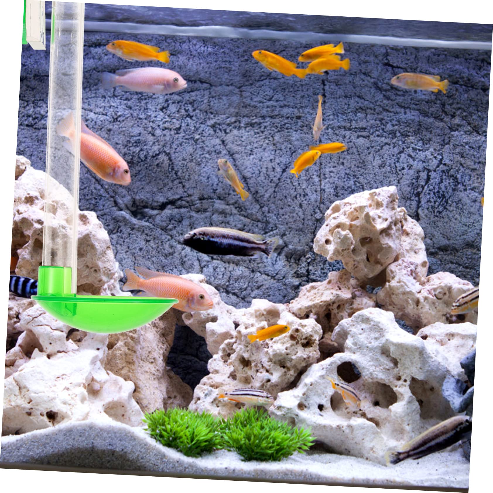 Didiseaon 3juegos Alimentador De Camarones para Acuarios Comedero Colgante Diseño De Gancho Fácil Instalación y Limpieza para Acuarios De Agua Dulce y Salada