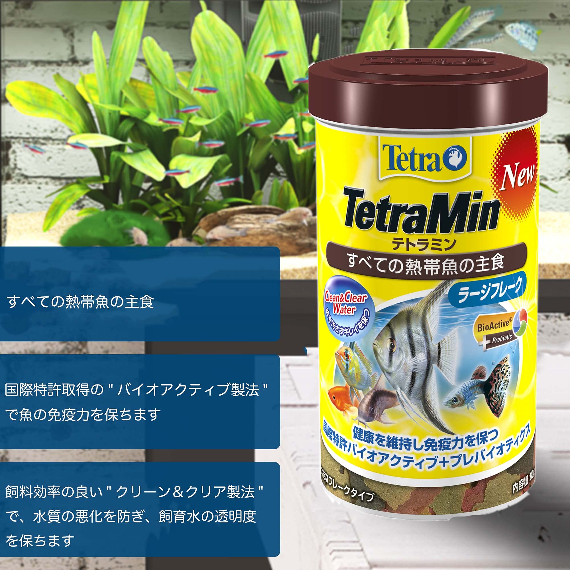 Amazon | テトラ (Tetra) テトラミン ラージフレーク 80g NEW 熱帯魚の