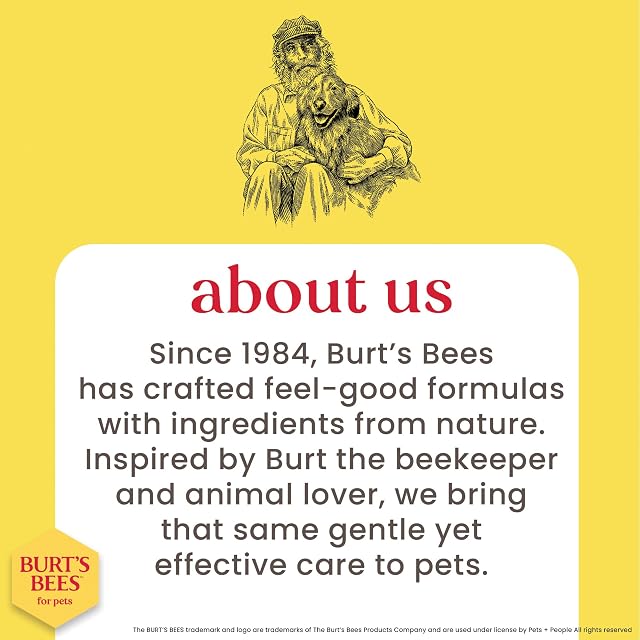 Foto 4 de 8 de Burt's Bees for Dogs Eye Wash by