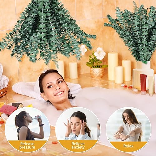 Miniatura 23 de 12 tallos de eucalipto secos para ducha, planta de ducha preservada de 17 pulgadas, hojas de eucalipto reales frescas para colgar en la ducha