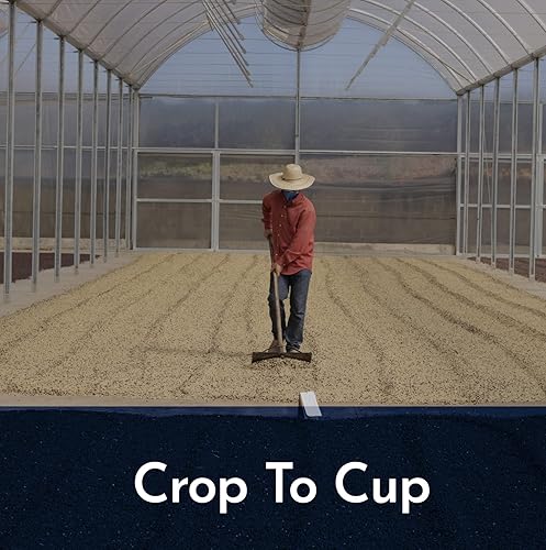 Miniatura 8 de Dois Americanos Americano - Café en grano entero, tostado oscuro, 12 onzas