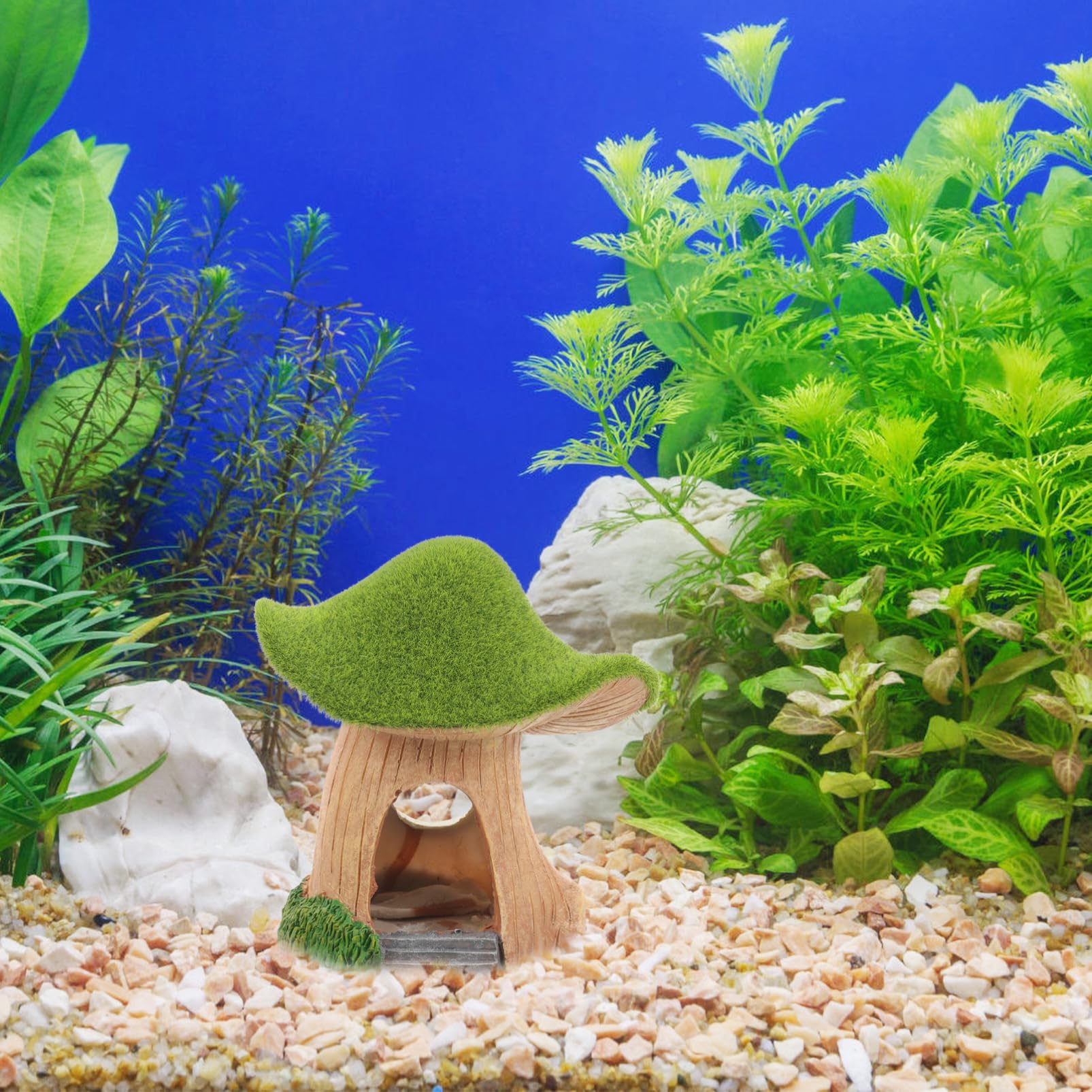 YARNOW 4 Pièces Maison de Champignons en Mousse Décoration Aquarium Decor Aquarium décor Aquarium Petit Cordon Attache rétractable pour Chien abri de Poisson décorations d'aquarium résine
