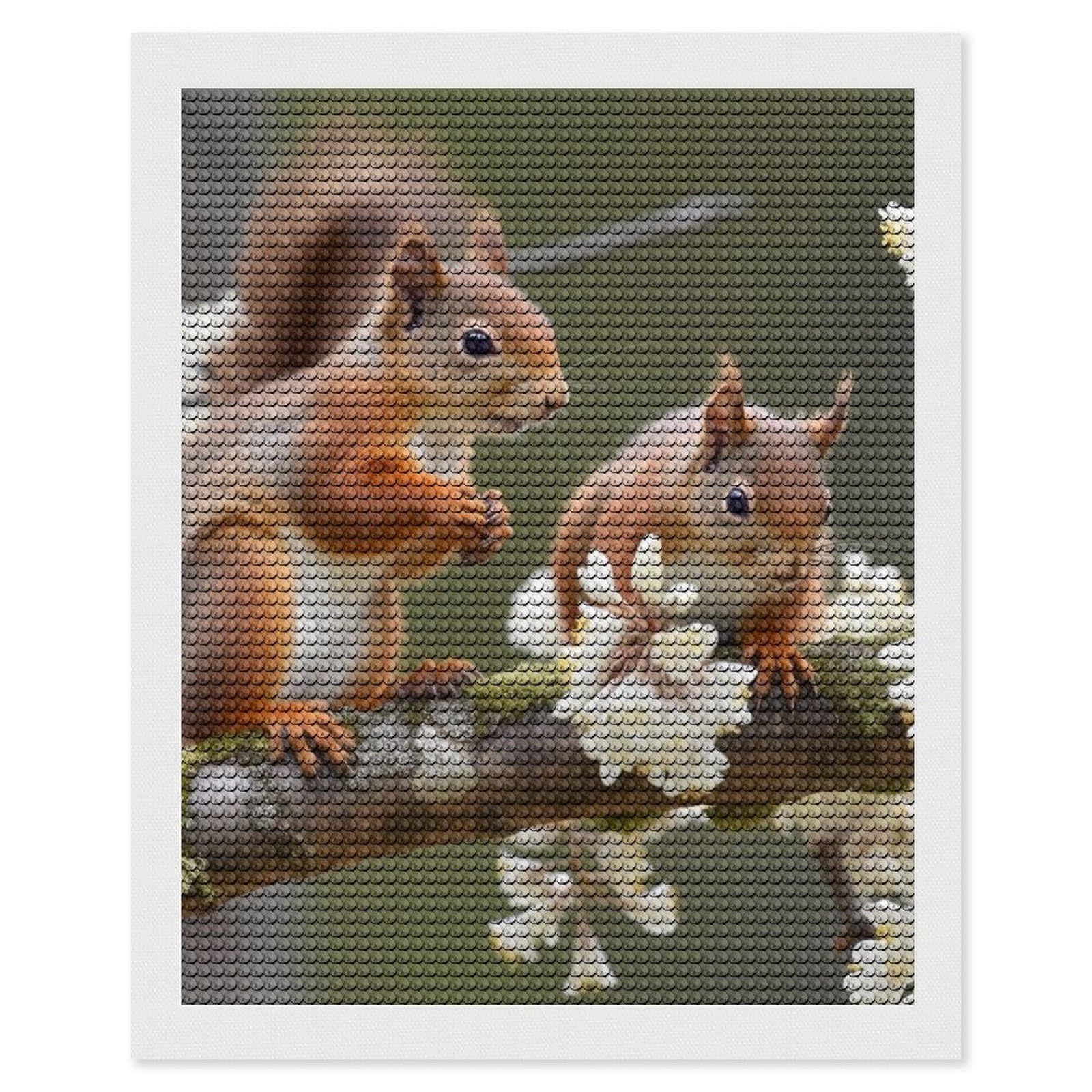 Squirrels Diamond Art Kits for Adults, DIY 5D Diamonds Painting Kits for Beginner, Round Full Drill Diamond Dots Painting, Diamonds Pictures Gem Art and Crafts Wall Decor 16"x20"