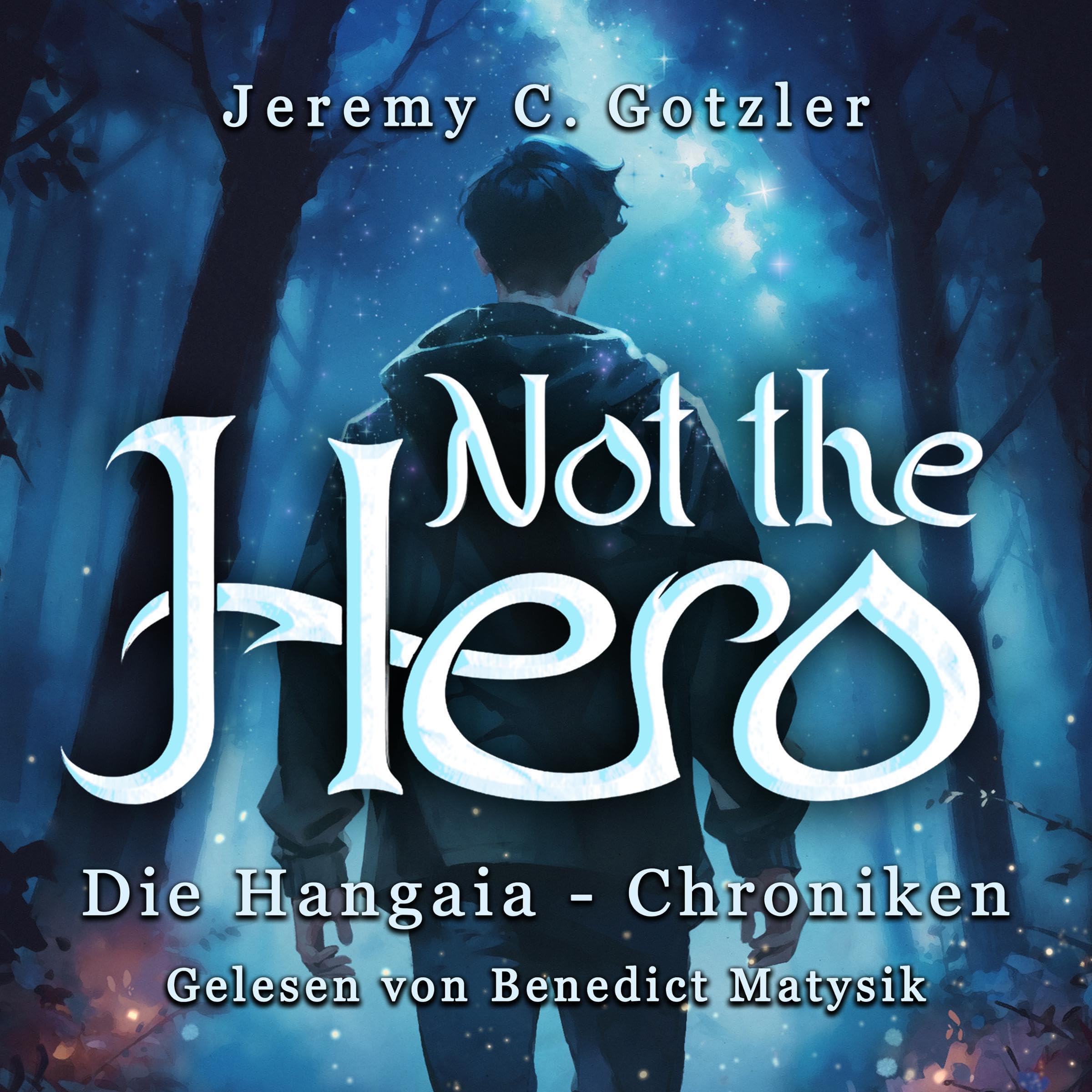 Cover art for Not the Hero