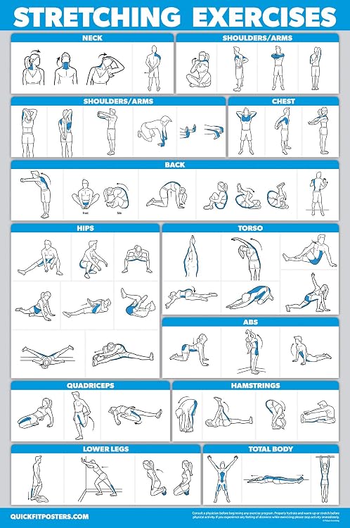 Computer Learning Stretch Techniques Palace Learning Quickfit Stretching Workout Exercise Poster Stretch ...