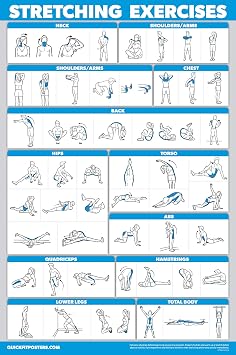Palace Learning QUICKFIT Stretching Workout Exercise Poster - Stretch Routine Laminated, 18" x 24"