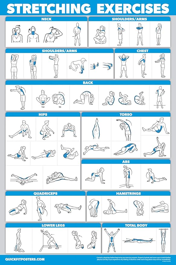 QuickFit Poster D exercices D tirement Routine D tirement lamin 