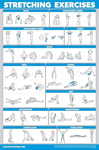 Palace Learning QUICKFIT Stretching Workout Exercise Poster - Stretch Routine (Laminated, 18" x 24")
