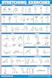 QUICKFIT Stretching Workout Exercise Poster - Stretch Routine (Laminated, 18