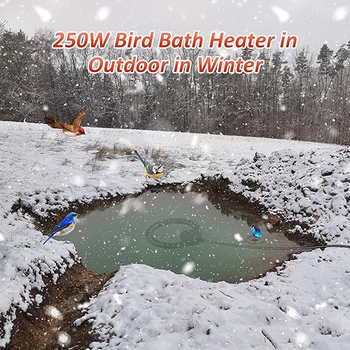Miniatura 26 de Calentador de baño para pájaros para exteriores con bomba de agua, descongelador para baños de pájaros con control termostático y cable de 3.3 pies