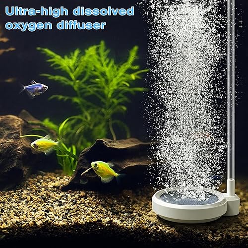 Fish Tank Bubbler 2 Inch Fish Tank Air Stone Small Nano Air Bubble Stone Aerator Oxygen Diffuser Aquarium Bubbler Fish-Tank Accessories(No Pump and Tube)