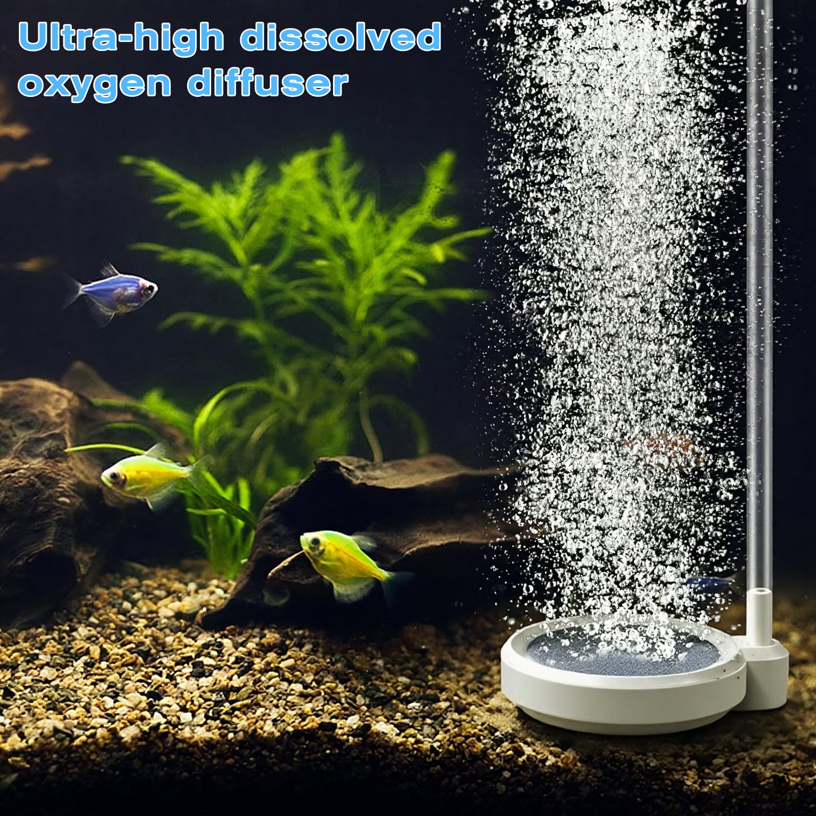 5cm Kleiner Nano Luftblasenstein Aquarium Nano Luftstein für Aquarien Aquarium Luftstein Aquarium-Sprudler Belüfter Sauerstoffdiffusor Aquarium-Zubehör