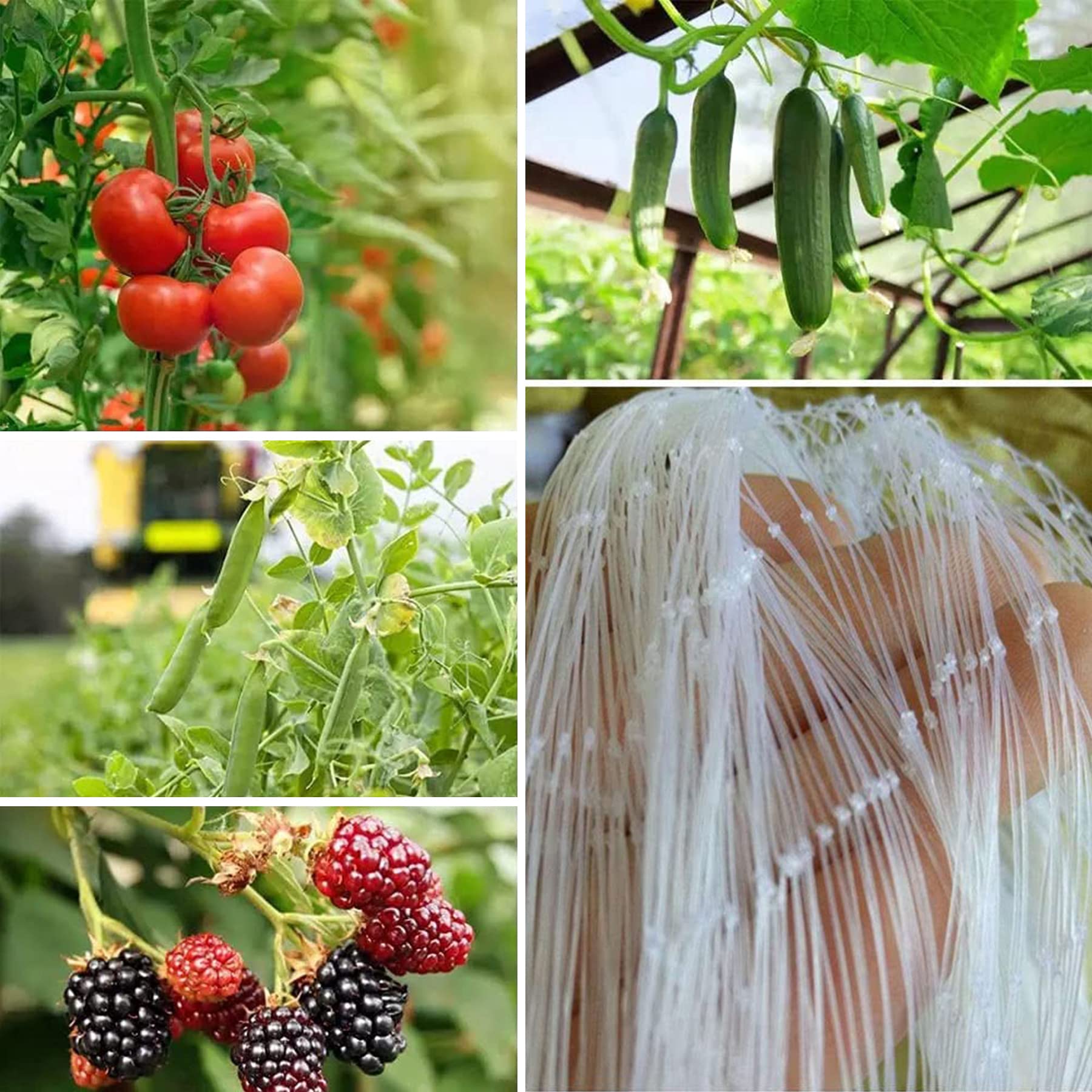 Rete per uccelli da giardino, rete anti-uccelli in nylon per stagno, protezione veterinaria, 7 m x 7 m, efficace deterrente per pioni, ideale per giardino, frutteto e colture
