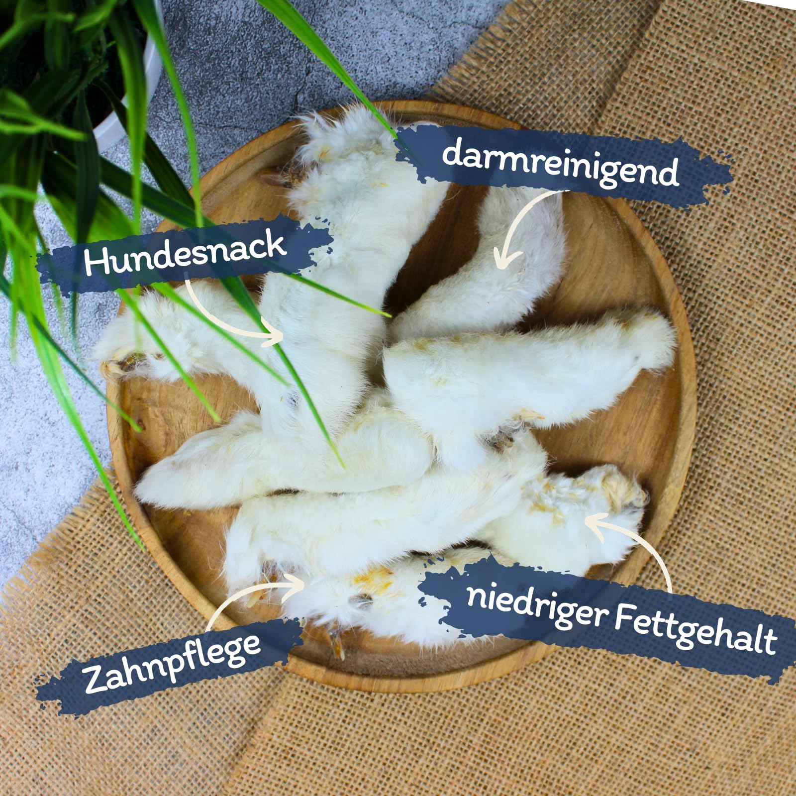 Lyra Pet® 5 kg Kaninchenpfoten mit Fell getrocknet - Kausnack für Hunde | Naturbelassener Kauartikel mit Fell – Proteinreiches Leckerli – Fettarme & gut verträgliche Belohnung – Aus 100 % Kaninchen