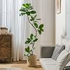 Product Photo 3