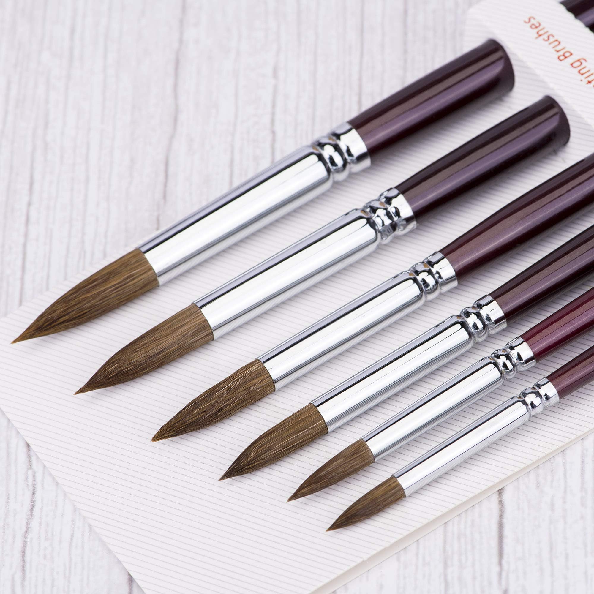 6pcs Round Point Tip Paint Brush Set Sable Hair Artist Quality Art Painting Brush
