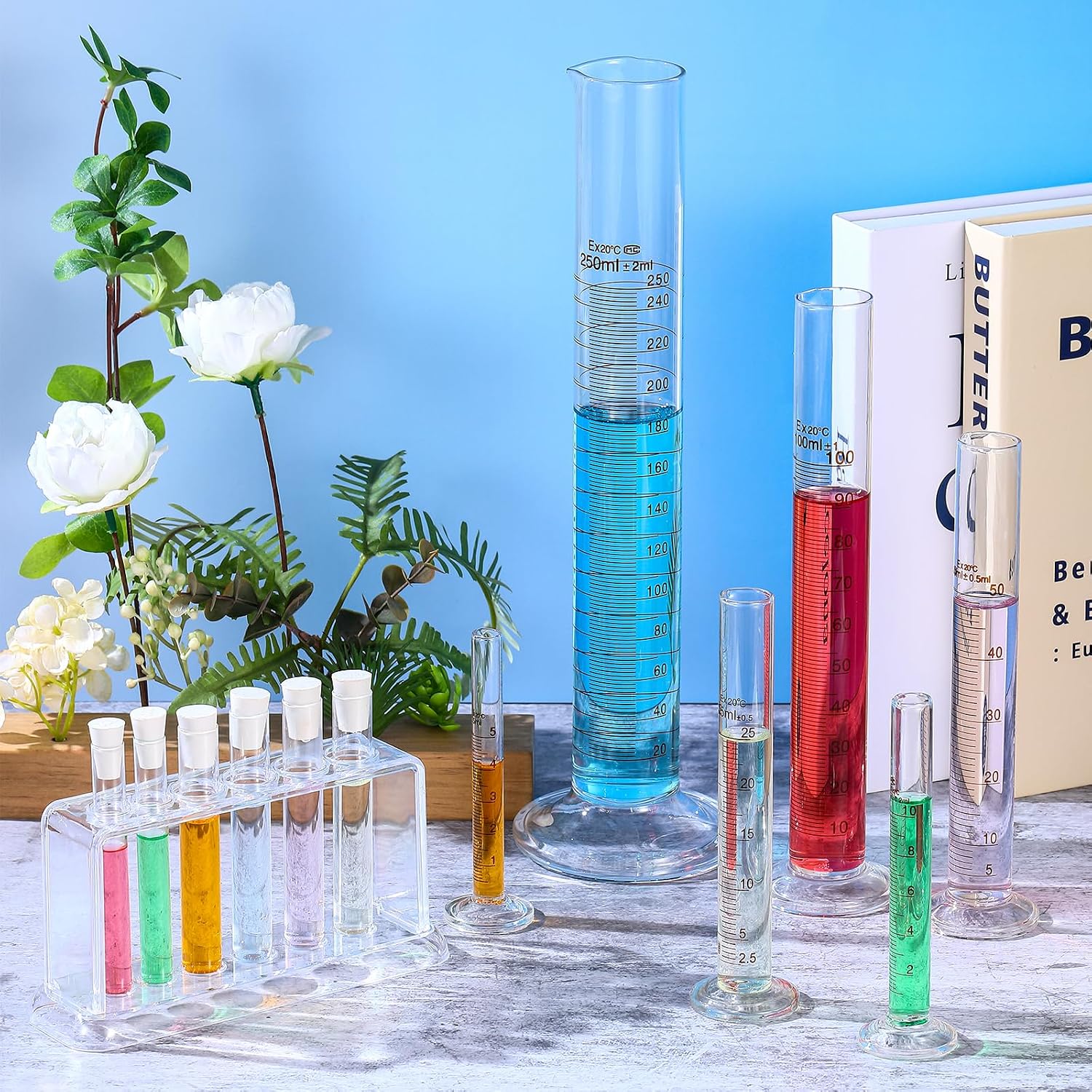 Tellegloww 6 Pcs Glass Graduated Cylinder Set 5ml 10ml 25ml 50ml 100ml 250ml Glass Test Tubes with Rack for Laboratory Science Chemistry Supplies Home Science Lab Party DIY