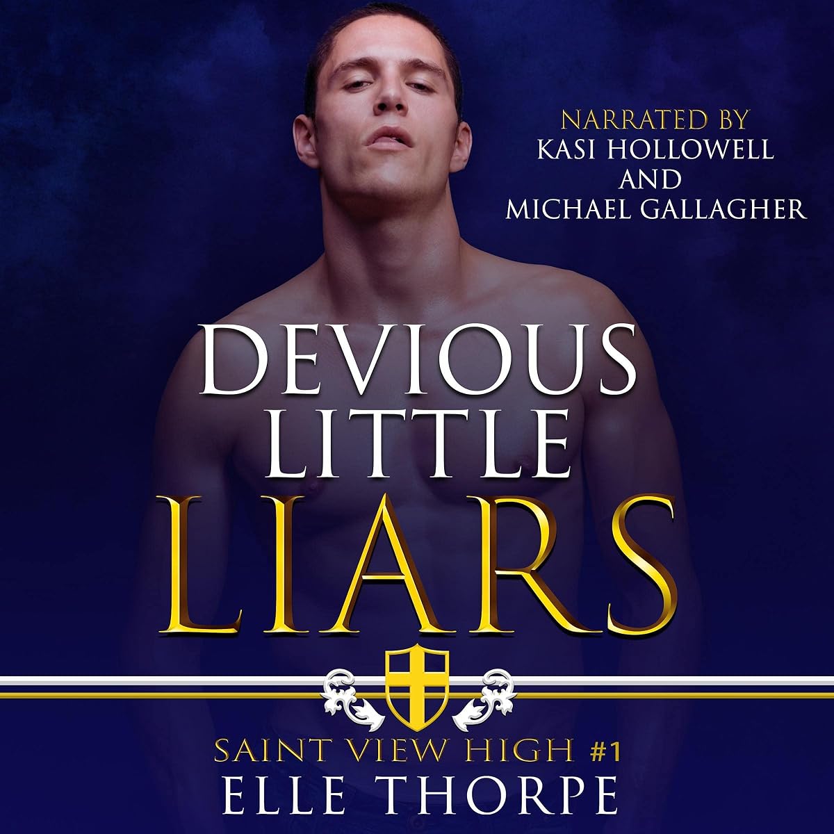 Devious Little Liars by Elle Thorpe audiobook cover