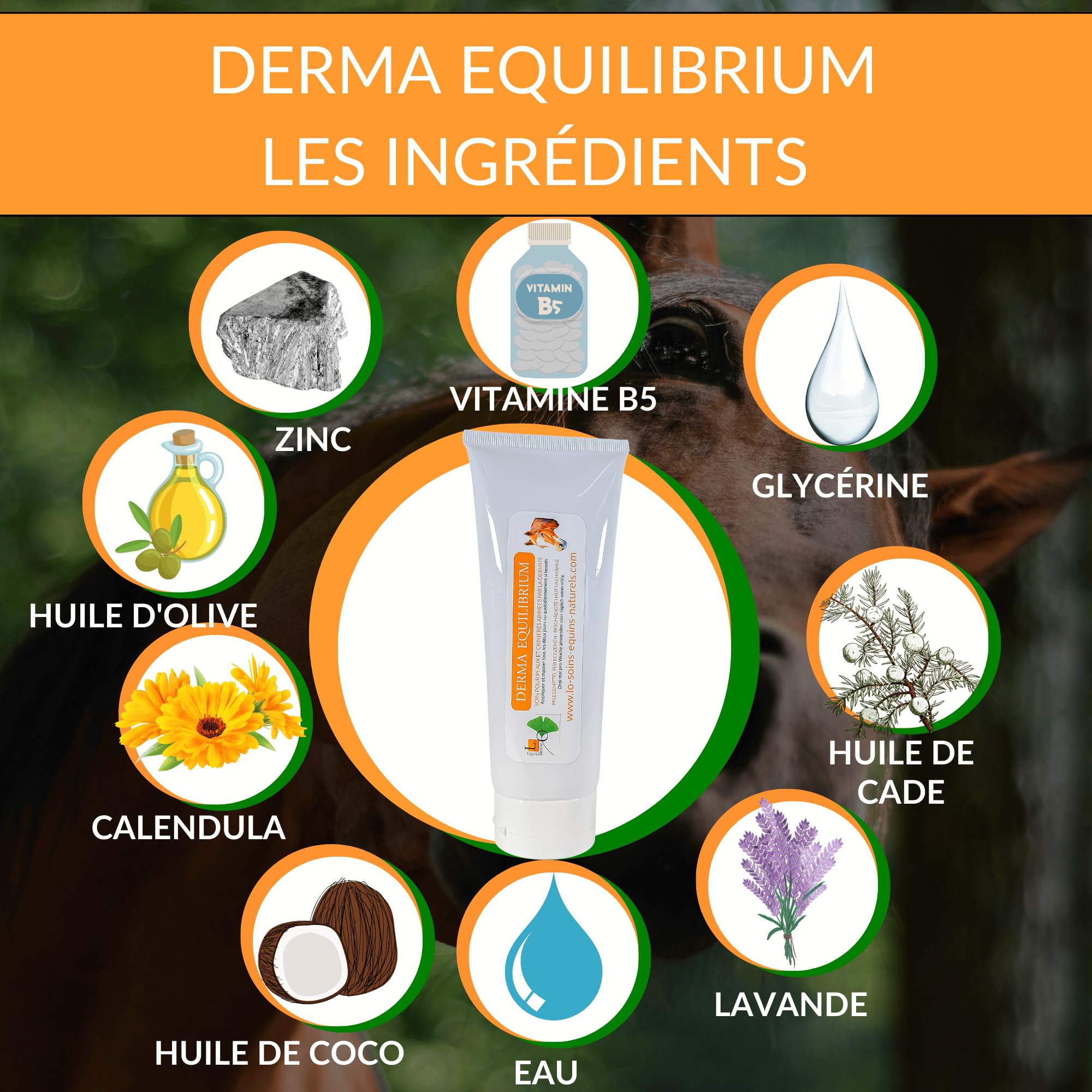 Derma Equilibrium - 500 mL - Soin Naturel de la dermite chez Le Cheval