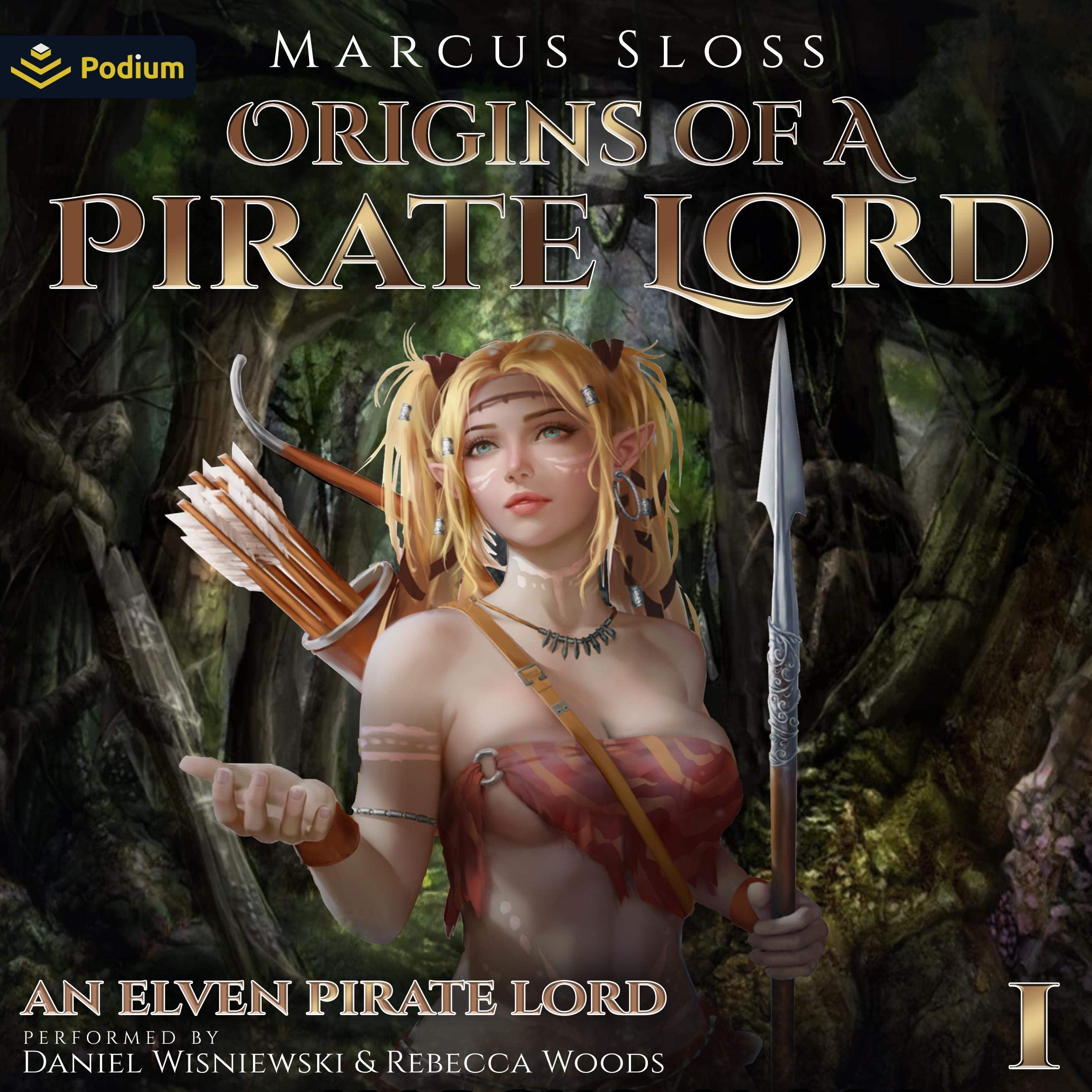 Cover art for Origins of a Pirate Lord