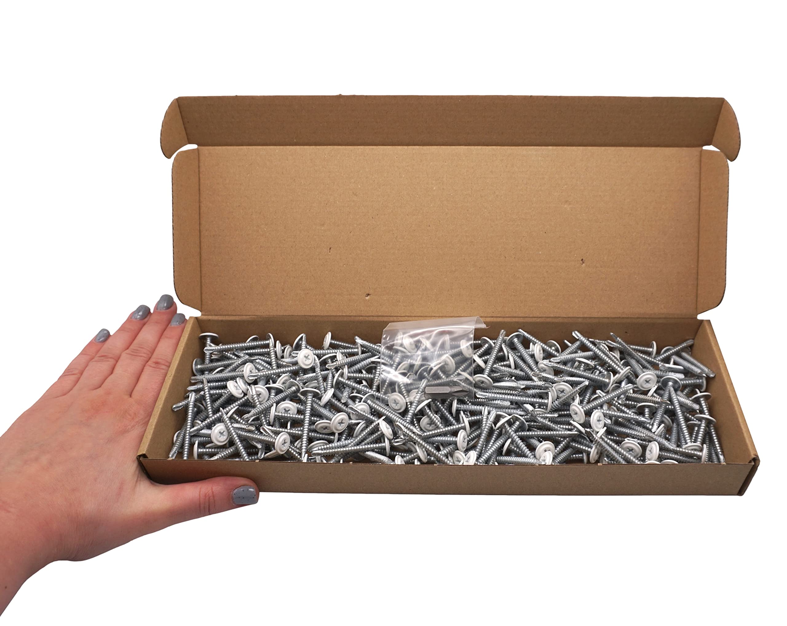 SKIR'CO (300 Stück) Lackierte selbstbohrende Schrauben 4,2 x 40 mm, Blechschraube, PH modifizierter Flachrundkopf (Reinweiß RAL 9010)