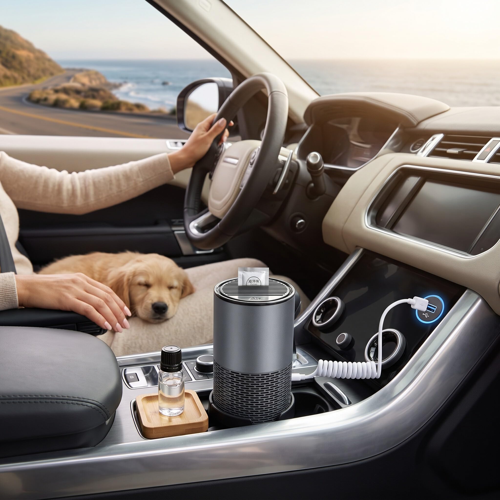 Wakects Purificador de Aire Portátil, Purificador de Aire para Coche, Elimina el Polen del Polvo con Cable USB para el Hogar