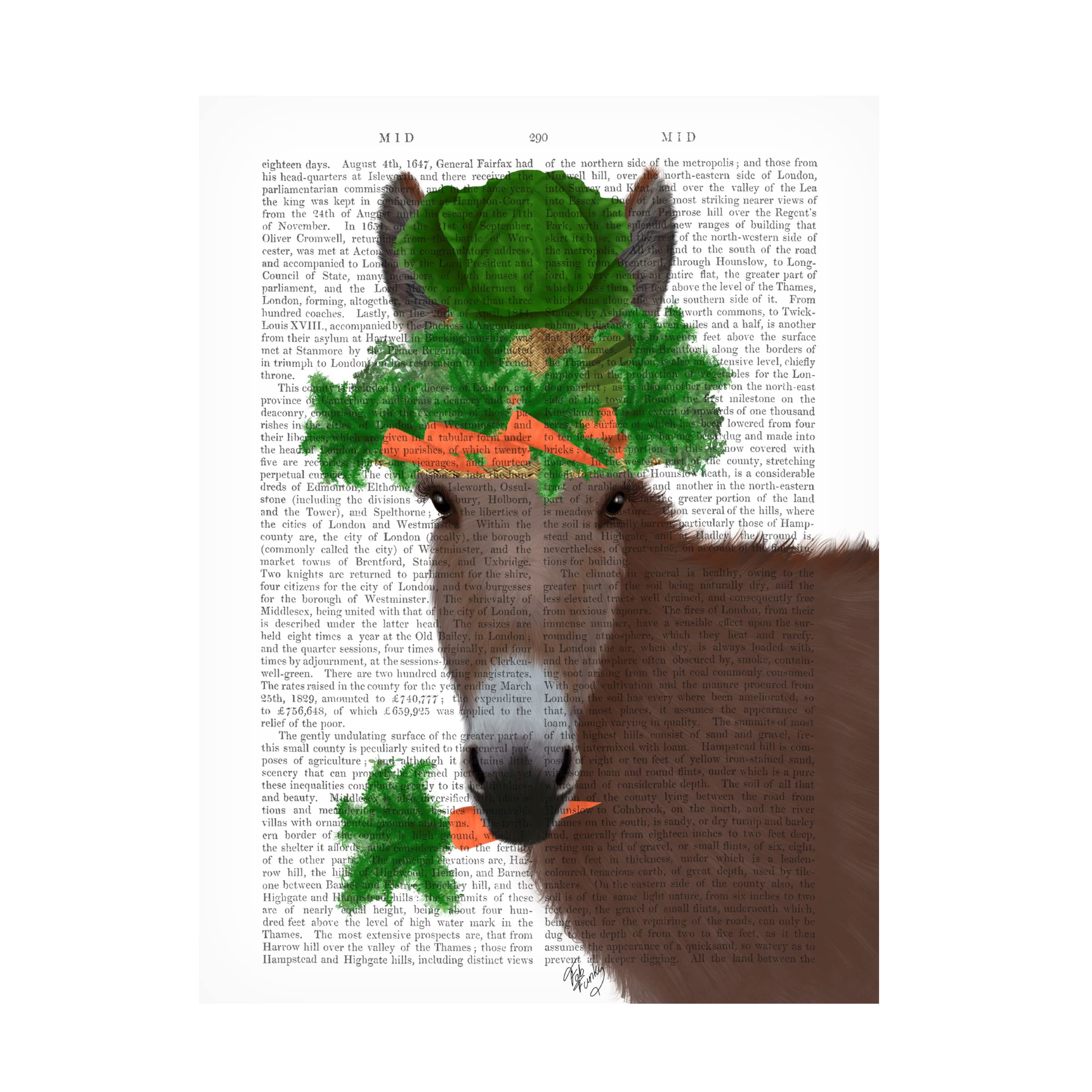 Trademark Fine ArtDonkey Carrot Hat Book Print' Canvas Art by Fab Funky