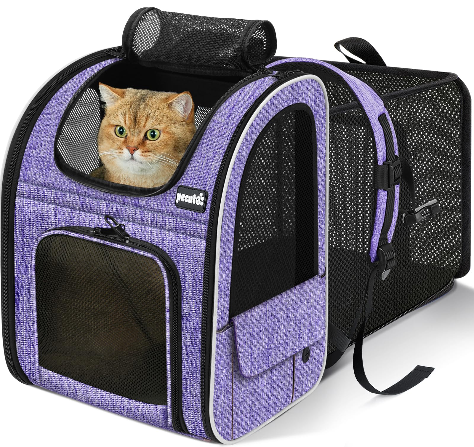 pecute cat backpack carrier, expandable cat carrier backpack with breathable mesh, pet carrier backpack for cats small dogs puppies, dog backpack carrier great for travel hiking camping outdoor purple